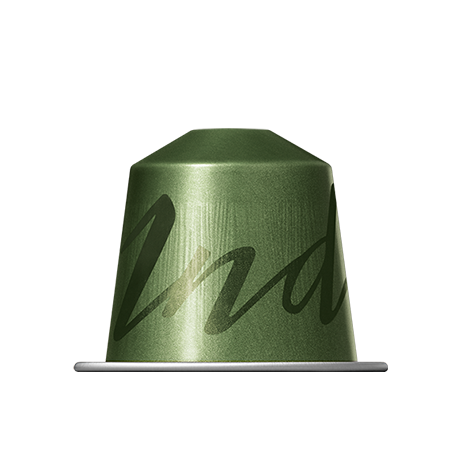 Kafijas Kapsulas Nespresso India